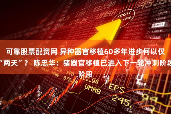 可靠股票配资网 异种器官移植60多年进步何以仅“两天”？ 陈忠华：猪器官移植已进入下一轮冲刺阶段